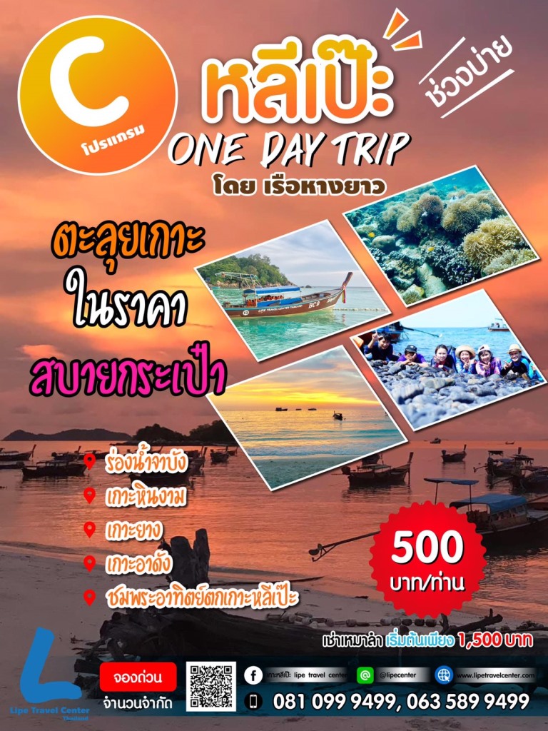โปรแกรม C โซนในช่วงบ่าย